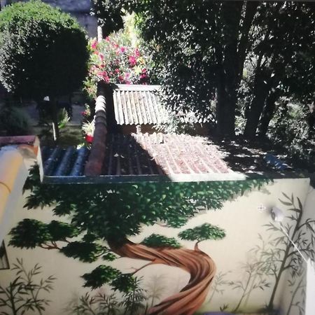 מונפלייה Suite Farniente Avec Patio Et Clim מראה חיצוני תמונה
