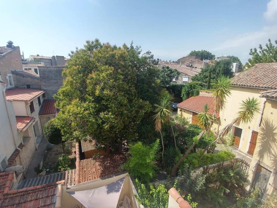 מונפלייה Suite Farniente Avec Patio Et Clim מראה חיצוני תמונה